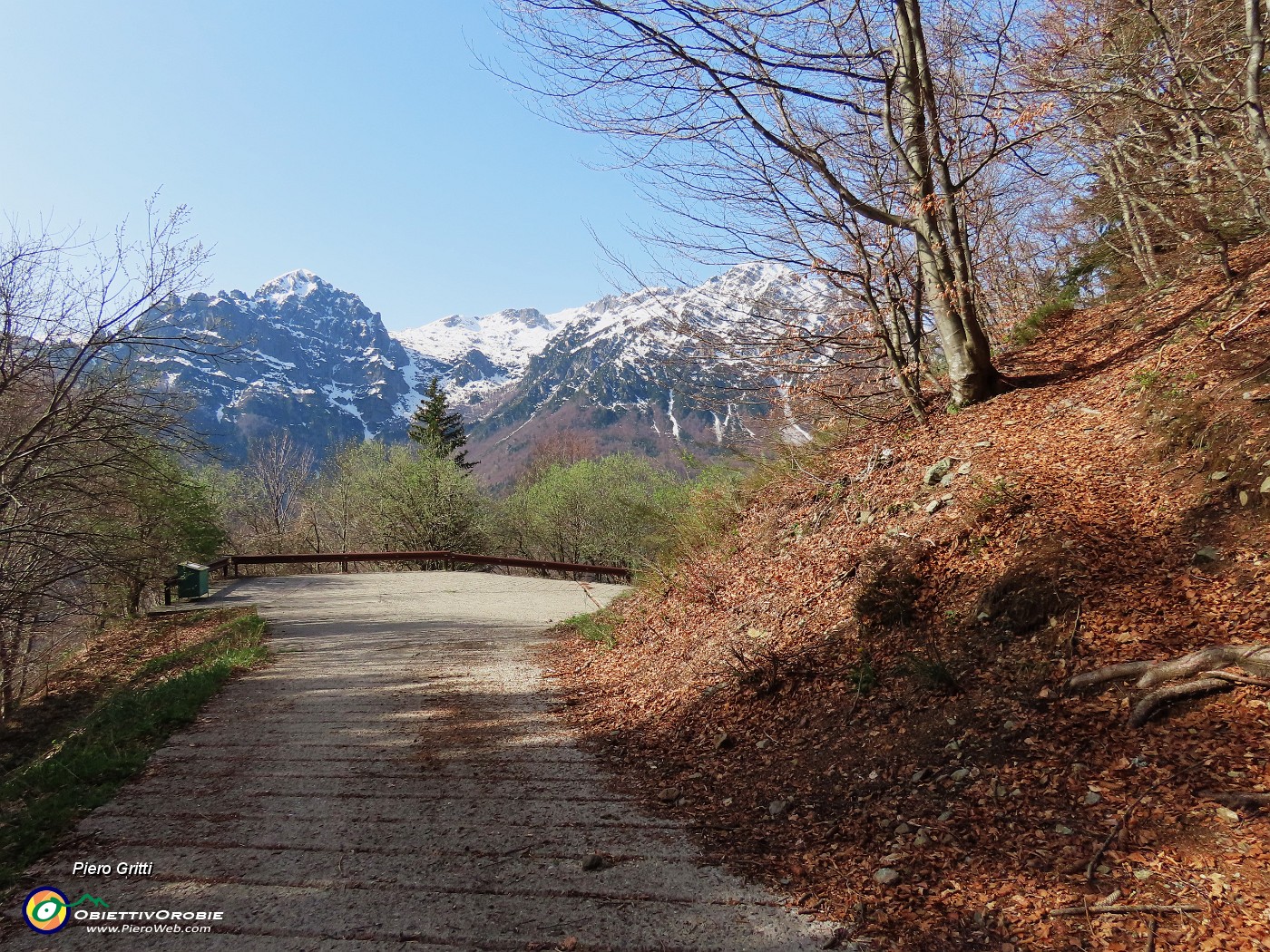 36  Si esce per un attimo dal bosco per attraversare la strada agrosilvopastorele per poi rientrare nel bosco.JPG